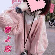 ヒメ日記 2025/04/17 13:02 投稿 のりこ 奥鉄オクテツ奈良