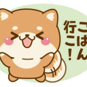 ヒメ日記 2025/07/20 21:23 投稿 のりこ 奥鉄オクテツ奈良