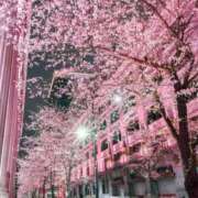 ヒメ日記 2026/03/16 13:09 投稿 のりこ 奥鉄オクテツ奈良