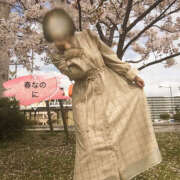 ヒメ日記 2026/04/04 09:26 投稿 のりこ 奥鉄オクテツ奈良