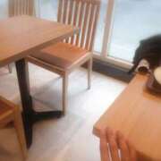 ヒメ日記 2024/12/16 14:57 投稿 ひみこ 奥鉄オクテツ奈良