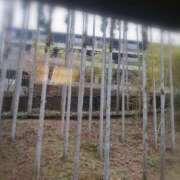 ヒメ日記 2025/01/31 11:28 投稿 ひみこ 奥鉄オクテツ奈良