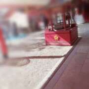 ヒメ日記 2025/02/06 11:56 投稿 ひみこ 奥鉄オクテツ奈良