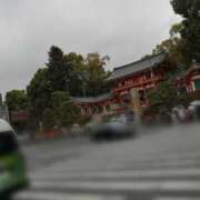 ヒメ日記 2025/03/17 12:43 投稿 ひみこ 奥鉄オクテツ奈良