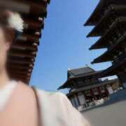 ヒメ日記 2025/03/22 15:07 投稿 ひみこ 奥鉄オクテツ奈良