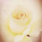 ヒメ日記 2025/06/10 21:07 投稿 ひみこ 奥鉄オクテツ奈良