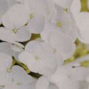 ヒメ日記 2025/06/24 23:05 投稿 ひみこ 奥鉄オクテツ奈良