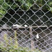 ヒメ日記 2025/08/05 13:21 投稿 ひみこ 奥鉄オクテツ奈良