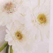 ヒメ日記 2025/09/11 21:47 投稿 ひみこ 奥鉄オクテツ奈良