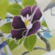 ヒメ日記 2025/10/04 23:54 投稿 ひみこ 奥鉄オクテツ奈良