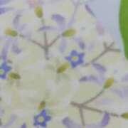 ヒメ日記 2025/10/11 15:56 投稿 ひみこ 奥鉄オクテツ奈良