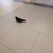 ヒメ日記 2025/11/10 00:13 投稿 ひみこ 奥鉄オクテツ奈良