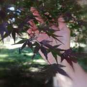 ヒメ日記 2025/11/16 20:31 投稿 ひみこ 奥鉄オクテツ奈良