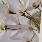 ヒメ日記 2025/12/06 23:44 投稿 ひみこ 奥鉄オクテツ奈良