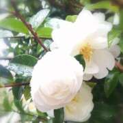 ヒメ日記 2025/12/27 23:30 投稿 ひみこ 奥鉄オクテツ奈良