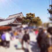 ヒメ日記 2026/02/21 13:53 投稿 ひみこ 奥鉄オクテツ奈良