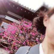 ヒメ日記 2026/02/26 14:06 投稿 ひみこ 奥鉄オクテツ奈良