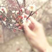 ヒメ日記 2026/03/01 00:18 投稿 ひみこ 奥鉄オクテツ奈良