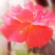 ヒメ日記 2026/03/20 22:43 投稿 ひみこ 奥鉄オクテツ奈良