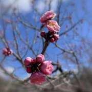 ヒメ日記 2026/03/22 23:49 投稿 ひみこ 奥鉄オクテツ奈良