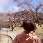 ヒメ日記 2026/04/01 13:09 投稿 ひみこ 奥鉄オクテツ奈良