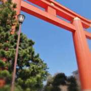 ヒメ日記 2026/04/08 13:14 投稿 ひみこ 奥鉄オクテツ奈良