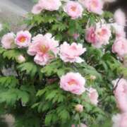 ヒメ日記 2026/05/10 23:43 投稿 ひみこ 奥鉄オクテツ奈良