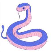 ヒメ日記 2025/01/01 13:36 投稿 みやび 奥鉄オクテツ奈良