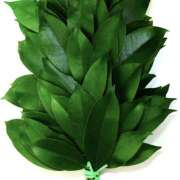 ヒメ日記 2025/06/25 14:41 投稿 みやび 奥鉄オクテツ奈良