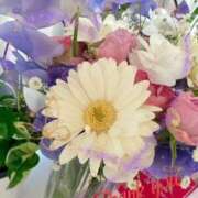 ヒメ日記 2025/02/21 13:57 投稿 ゆめか 奥鉄オクテツ奈良