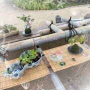 ヒメ日記 2025/07/03 10:32 投稿 ゆめか 奥鉄オクテツ奈良