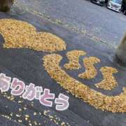 ヒメ日記 2025/11/21 15:40 投稿 ゆめか 奥鉄オクテツ奈良