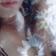 ヒメ日記 2025/02/24 14:03 投稿 なな 奥鉄オクテツ奈良