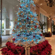 あや おはようございます！ 奥鉄オクテツ奈良