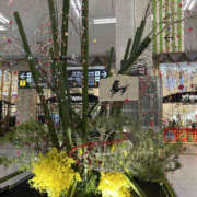 ヒメ日記 2026/01/13 08:18 投稿 あや 奥鉄オクテツ奈良