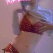 ヒメ日記 2025/01/23 22:17 投稿 おとは 無我（むが）