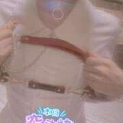 ヒメ日記 2025/02/07 06:41 投稿 おとは 無我（むが）