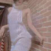 ヒメ日記 2025/02/08 22:02 投稿 おとは 無我（むが）