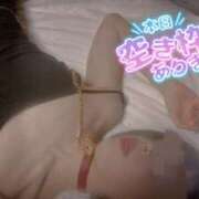 ヒメ日記 2025/02/09 07:43 投稿 おとは 無我（むが）