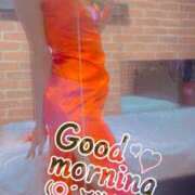 ヒメ日記 2025/02/11 09:43 投稿 おとは 無我（むが）