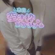 ヒメ日記 2025/02/14 06:15 投稿 おとは 無我（むが）