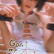 ヒメ日記 2025/02/18 07:00 投稿 おとは 無我（むが）