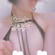 ヒメ日記 2025/02/28 07:22 投稿 おとは 無我（むが）