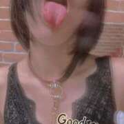 ヒメ日記 2025/03/05 06:00 投稿 おとは 無我（むが）