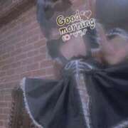 ヒメ日記 2025/03/10 07:01 投稿 おとは 無我（むが）