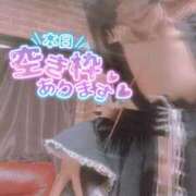 ヒメ日記 2025/03/23 07:28 投稿 おとは 無我（むが）