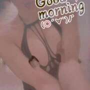 ヒメ日記 2025/03/28 07:34 投稿 おとは 無我（むが）