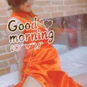 ヒメ日記 2025/04/01 08:55 投稿 おとは 無我（むが）