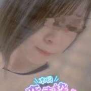 ヒメ日記 2025/04/04 07:00 投稿 おとは 無我（むが）