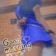 ヒメ日記 2025/04/10 06:52 投稿 おとは 無我（むが）